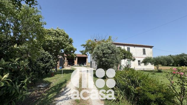CASALE CON PERTINENZE - Foto 3