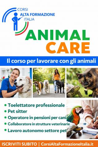 Assistente Veterinario