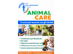 Assistente Veterinario