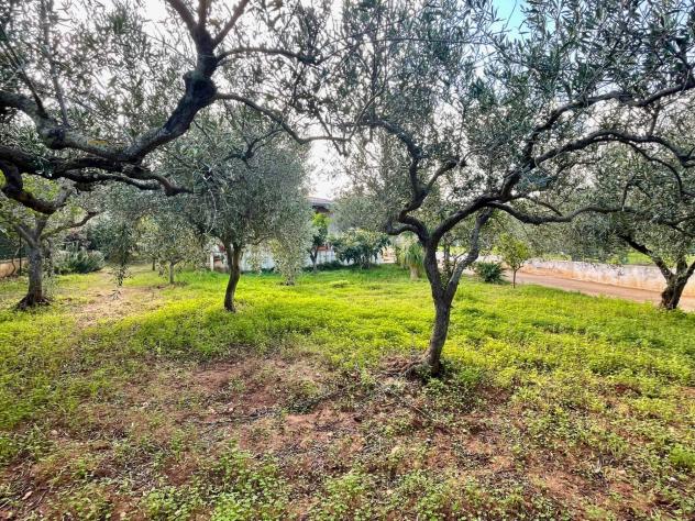 Villa in vendita a Castellammare del Golfo - Foto 5