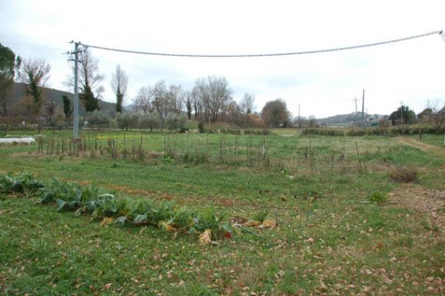Immobile in asta di 7880 m² in vendita a Corciano - Foto 10