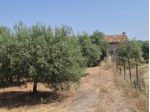Agricolo in Contrada Foresta