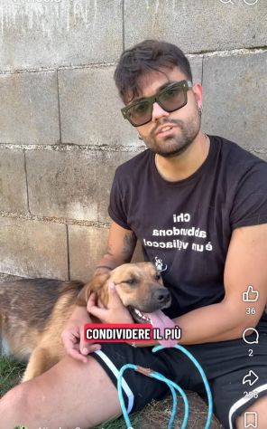 MOCKY CERCA UN AMICO AMOREVOLE CUCCIOLO IN ADOZIONE - Foto 8