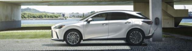 LEXUS RX 450h Plug-in Hybrid Luxury rif. 23255869 - Foto 6