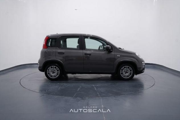 FIAT New Panda 1.0 FireFly City Life S&S Hybrid rif. 22918132 - Foto 7