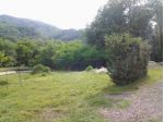 dog park