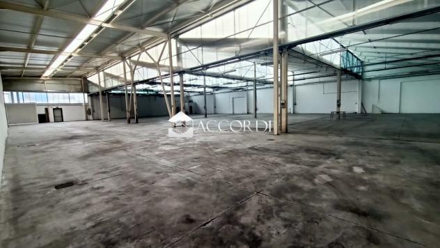 CAPANNONE di 3 vani e di 3025 mq (PEDEROBBA) rif. BL012 - Foto 10