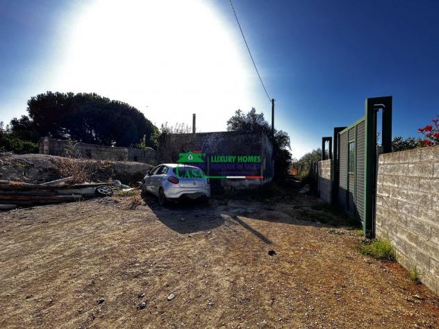 Rif.2375 - Casa di campagna con terreno e uliveto – Pedalino - Foto 3