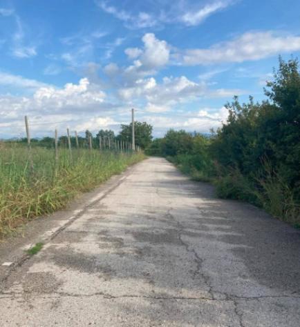 Immobile in asta di 17729 m² in vendita a San Bonifacio - Foto 7