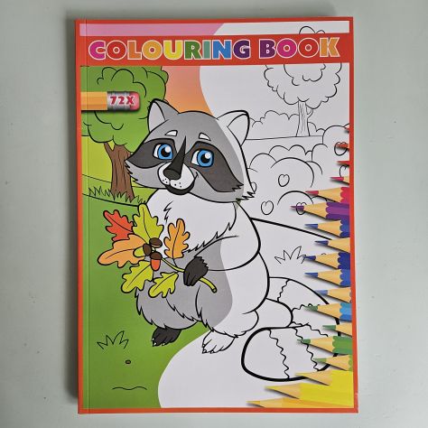 Libro da Colorare, Colouring Book - Furetto A4 - 2026 - TRACCIATA!! - Foto 7