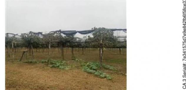 Immobile in asta di 600 m² in vendita a Porto Sant'Elpidio - Foto 11