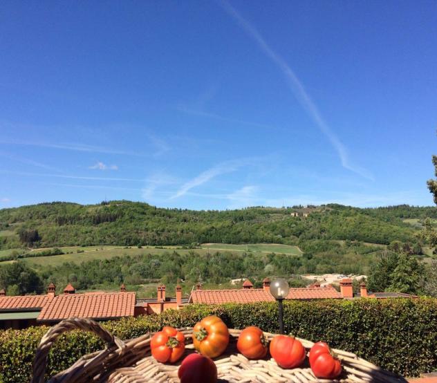 Appartamento in Affitto in zona BARGINO con giardino - Foto 14