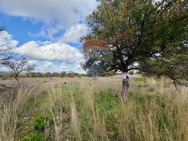 Terreno in vendita a Chiaramonte Gulfi - Foto 7