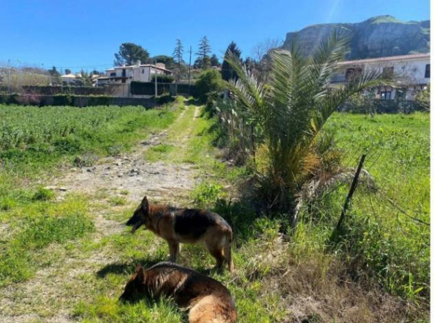 Immobile in asta di 2217 m² in vendita a Corleone - Foto 9
