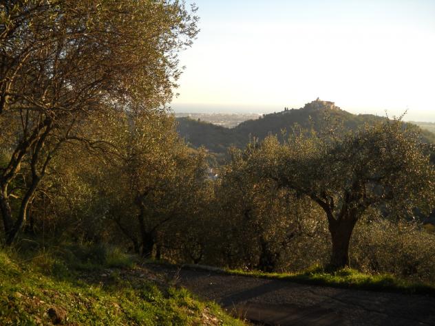 Terreno agricolo in vendita a Luni 2820 mq Rif: 1063771