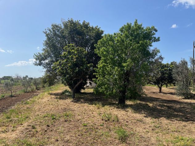 Rudere con terreno - Foto 7
