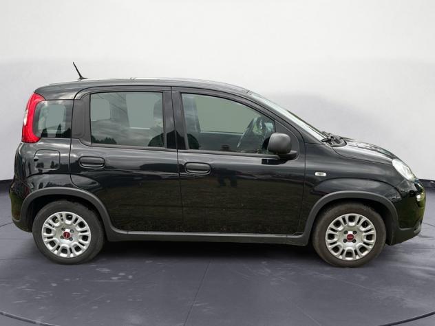 FIAT Panda 1.0 firefly hybrid s&s 70cv - Foto 6