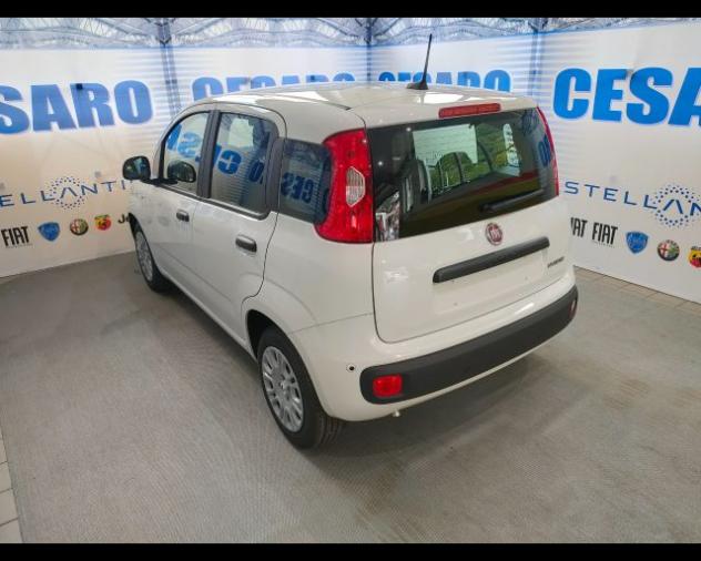 FIAT Panda 1.0 firefly hybrid Icon s&s 70cv 5p.ti rif. 23778993 - Foto 4