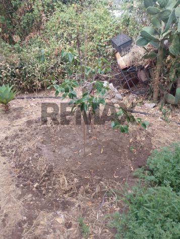 Terreno in vendita a Siracusa, Belvedere - Foto 14
