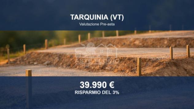 Immobile in asta di 39049 m² in vendita a Tarquinia