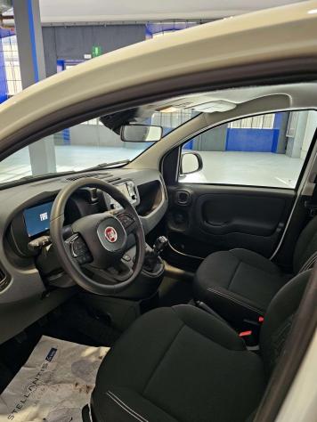 FIAT Pandina Pandina 1.0 firefly hybrid Icon s&s 65cv - Foto 10