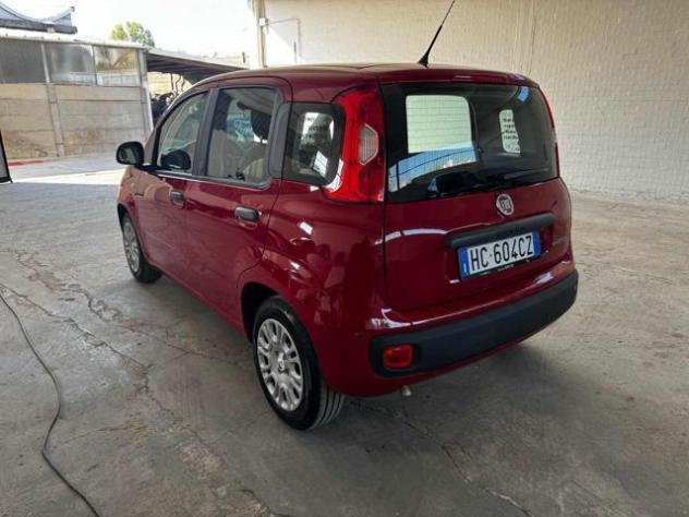 FIAT Panda 1.0 FireFly S&S Hybrid Icon rif. 24000249 - Foto 7