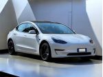 TESLA Model 3 Standard Range Plus RWD rif. 22481763