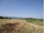 COLONICA di 3450 mq (CASTELFIORENTINO) rif. C 192