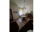 026 trivani