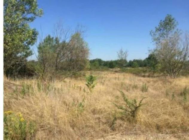 Immobile in asta di 56762 m² in vendita a Vigevano - Foto 3