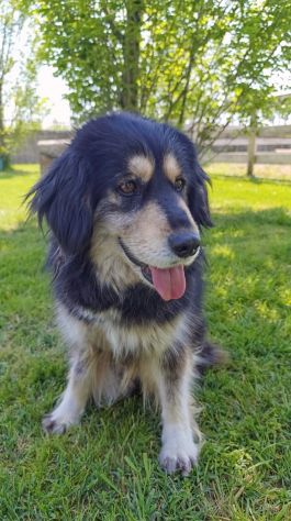 Emma - Foto 2