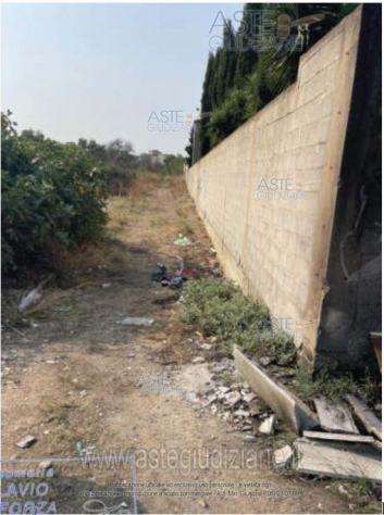IMMOBILI-ALTRA CATEGORIA-Contrada Torrelonga, 70019 Triggiano BA, Italia - Foto 7