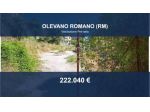 Immobile in asta di 17072 m² in vendita a Olevano Romano