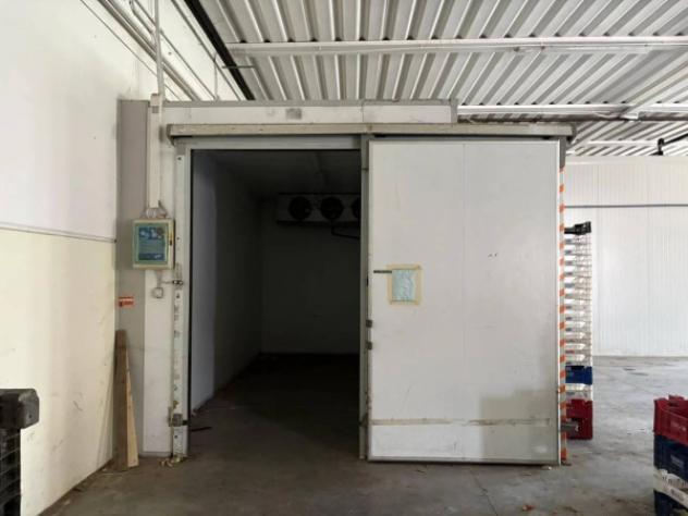 Immobile in asta di 650 m² in vendita a Terni - Foto 14