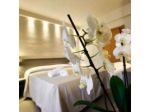 Hotel Crystal