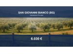 Immobile in asta di 11625 m² in vendita a San Giovanni Bianco