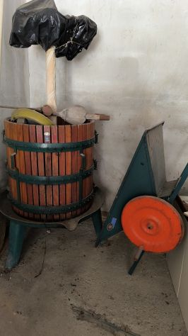 Torchio per uva con pigiatrice manuale
