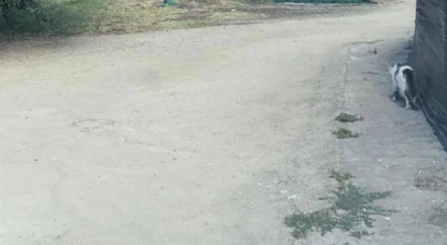 Immobile in asta di 278 m² in vendita a Velletri - Foto 3