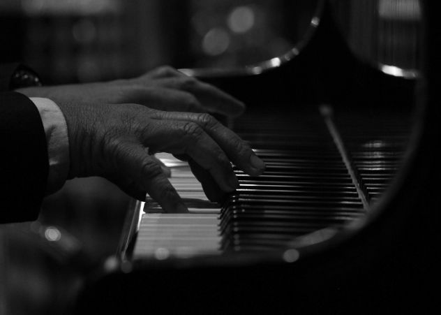 Pianista professionista Erba