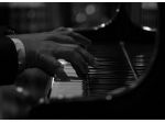 Pianista professionista Erba