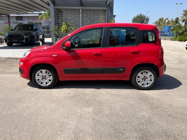 FIAT Panda 1.2 69cv Easy - Foto 3