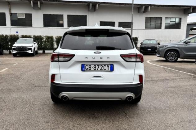 FORD Kuga 1.5 EcoBlue 120 CV 2WD Titanium Business rif. 23684826 - Foto 6