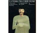 La terra tra i due fiumi. Venti anni di archeologia italiana
