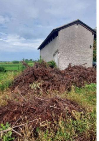 Immobile in asta di 24992 m² in vendita a Cassolnovo - Foto 12