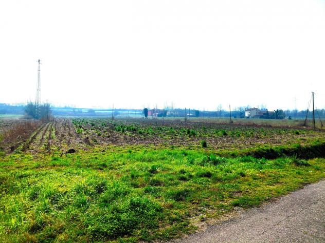 Agricolo in vendita a Boara Pisani - Foto 2