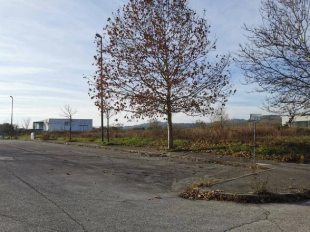 Immobile in asta di 7547 m² in vendita a Corinaldo - Foto 5