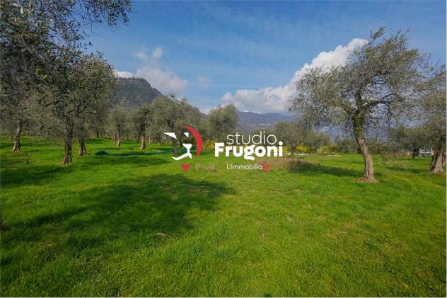 vf911 - TENUTA CON 2 ETTARI E ANNESSI AGRICOLI - Foto 7