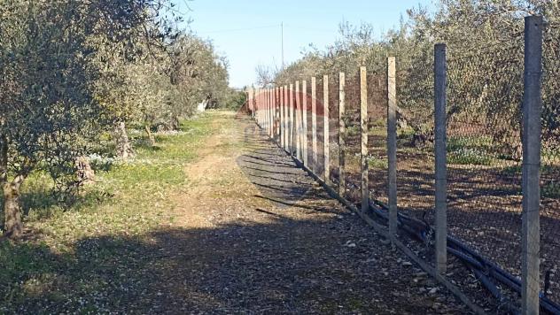 Rustico in vendita a Chiaramonte Gulfi - Foto 7