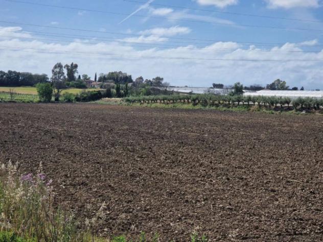 Immobile in asta di 32500 m² in vendita a Eboli - Foto 3
