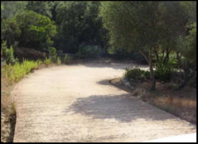 Immobile in asta di 2270 m² in vendita a Olbia - Foto 3